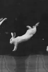 Rabbits movie poster