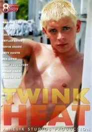 Poster do filme Twink Heat