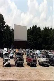 Drive-in Blues movie poster