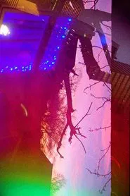 Poster do filme Fallen Arches