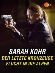 Der letzte Kronzeuge - Flucht in die Alpen movie poster