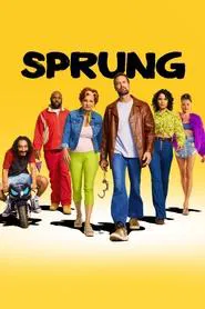 Poster da série Sprung