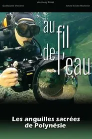 Au fil de l'eau, les anguilles sacrées de Polynésie movie poster