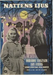 Poster do filme Night Light