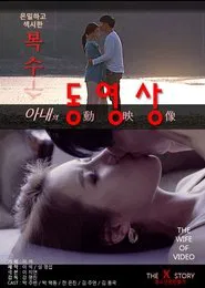 Wife's Videos movie poster