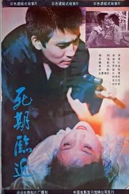 Poster do filme Si qi lin jin