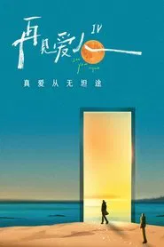 再见爱人 特别篇 tv show poster