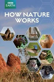 How Nature Works tv show poster