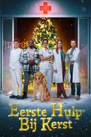Eerste Hulp Bij Kerst movie poster
