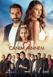 A Mother's Love tv show poster