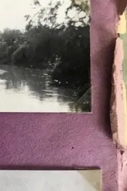 A Remake of a Revolutionary Film movie poster