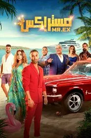Poster do filme Mr. Ex