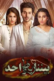 Bandhey Aik Dor Se tv show poster