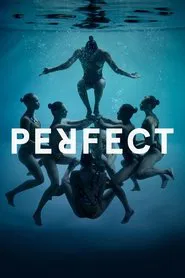 Perfect movie poster
