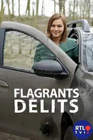 Flagrants délits tv show poster