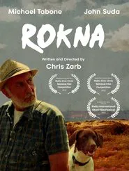 Rokna movie poster