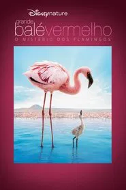 Poster do filme Grande Balé Vermelho: O Mistério dos Flamingos