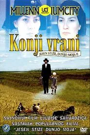Konji vrani movie poster