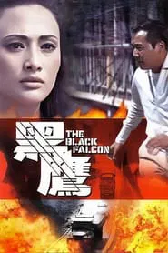 Poster do filme Black Falcon