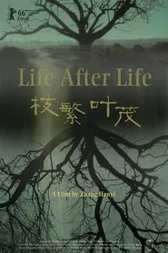 Life After Life movie poster