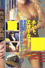 Groper Train: Lots of Big Breasts movie poster