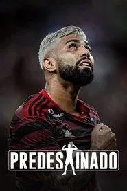 Predestinado tv show poster
