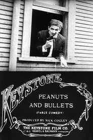 Peanuts and Bullets movie poster