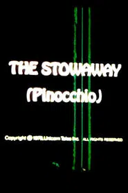 Poster do filme The Stowaway