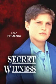 Secret Witness tv show poster