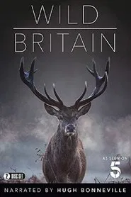 Poster da série Wild Britain