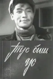 Meddlesome movie poster
