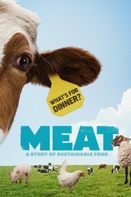 Meat movie poster