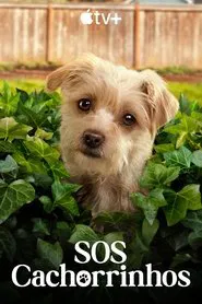 Poster da série SOS Cachorrinhos
