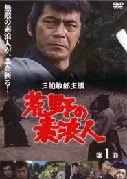 Poster da série Ronin of the Wastelands