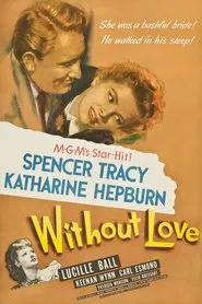 Poster do filme Sem Amor