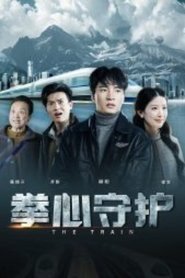 拳心守护 tv show poster