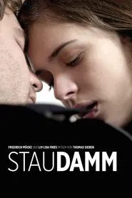 Poster do filme Staudamm