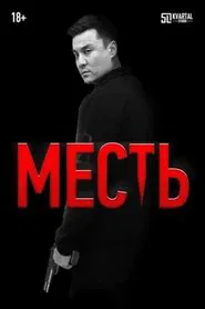 Revenge movie poster