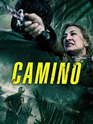 Poster do filme Camino