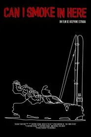 Poster do filme Can I Smoke In Here