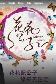 Mister Flower tv show poster