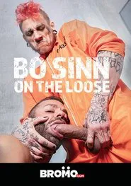 Bo Sinn: On the Loose movie poster