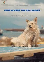 Here where the sea shines movie poster