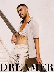 Dreamer movie poster