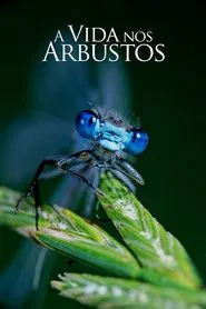 Poster da série A Vida nos Arbustos