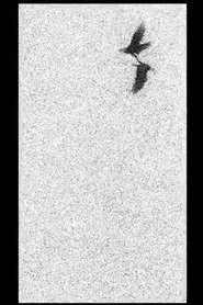 Of Dice and Men movie poster