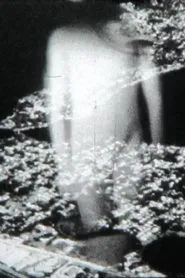 Conjectures movie poster