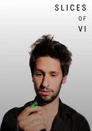 Poster do filme Slices of Vi