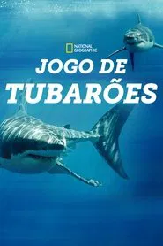 Poster do filme Jogo de Tubarões