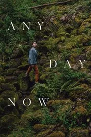 Any Day Now movie poster